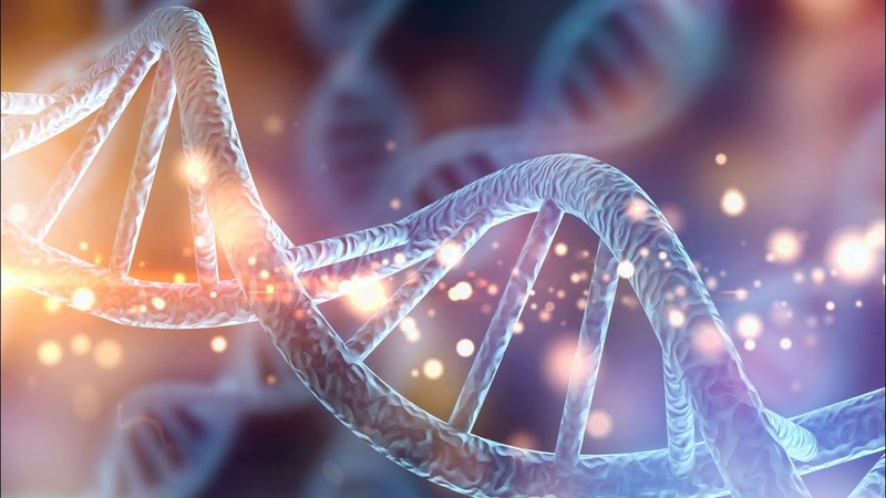 Dalla doppia elica ai 12 filamenti del DNA: la danza cosmica dellevoluzione del DNA. Aurora