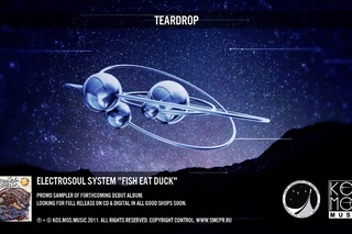 ELECTROSOUL SYSTEM “FISH EAT DUCK“