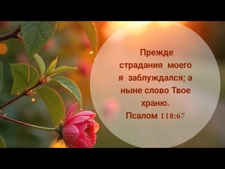 ВНОВЬ ОЧИЩАЕТСЯ ДУША...|| стихи христианские