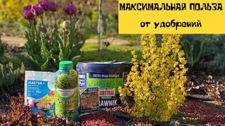 МАКСИМАЛЬНАЯ ПОЛЬЗА от удобрений. Чем подкормить весной сад