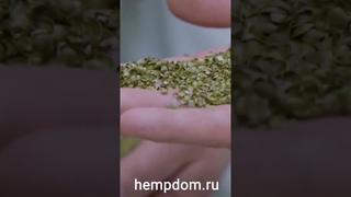 Натуральное строительство. Экологические жилища. Конопля и строительство.