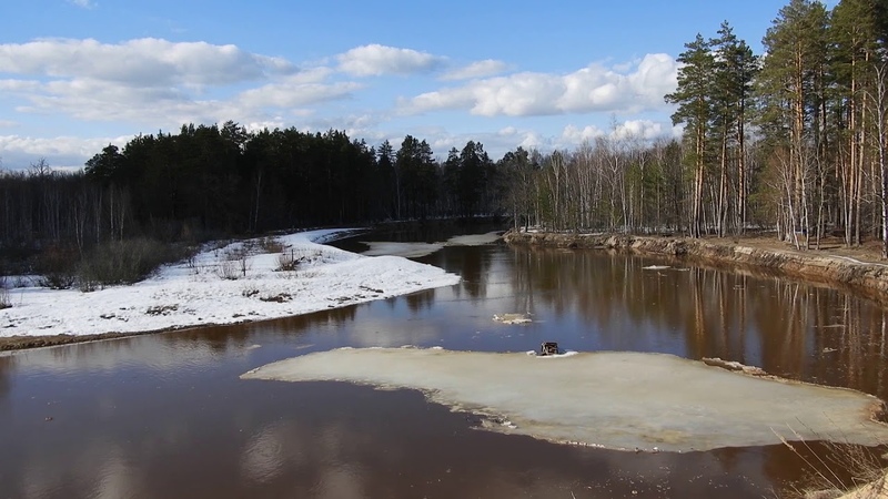 Ледоход на реке Пре. Звуки весеннего леса, Ice floating on the Pra River.
