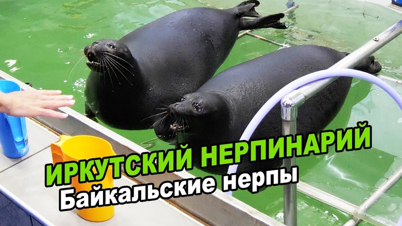 Иркутский