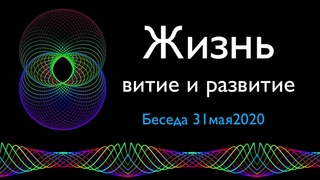 Беседа 31мая2020 Жизнь. Витие и развитие. Комментарии А.Мишина по "катушкам Мишина"