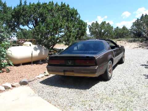 1984 Trans
