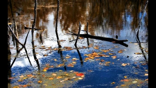 Rainy autumn in jazz. Relax & Listen