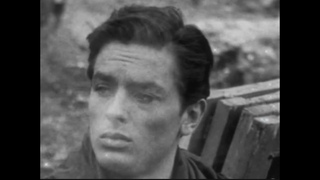 when will purple noon stop haunting me