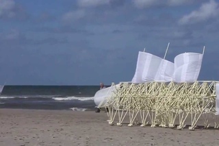 “Ветровые ходуны“ или “ходящие парусники“ - strandbeest (новый вид машин, работающие за счёт ветра)