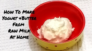 How To Make Curd (Yogurt) & Butter From Raw Milk | Homemade Curd & Butter Recipe (in English)