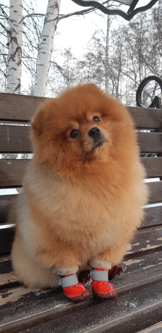 Сергей Гутник | Екатеринбург