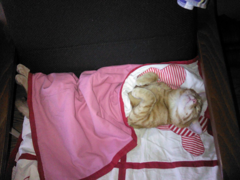 Ирина Кот | Чита