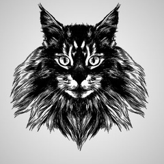 Cat-Edm Trap
