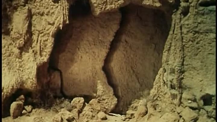 Ali Baba Et Les 40 Voleurs FR