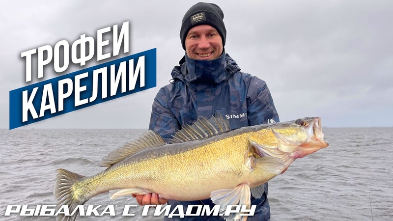 РЫБАЛКА В КАРЕЛИИ. ПОПАЛИ НА ЖОР СУДАКА В САМУЮ ЖЕСТКУЮ