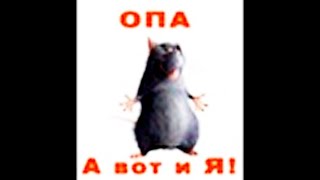 На #РадиоНОД в прямом эфире #ИНФОСПЕЦНАЗ_Vk уделал КОБ и ДОТУ | от 25/04 /20