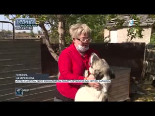 Жануарларды орлау тыйылмай тр