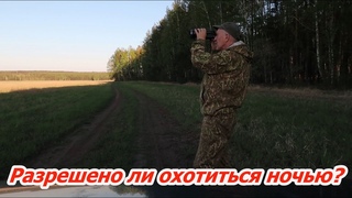 Разрешено ли охотиться ночью