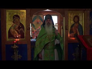 Троица. Две Пятидесятницы - две Церкви. Почему вне Церкви нет спасения?