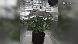 Домашние заготовки марихуаны| Homemade marijuana preparations