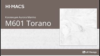 HIMACS M601 Torano