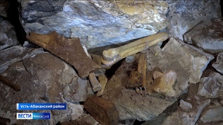 Логово гиен и следы носорога Мерка нашли ученые в глухой тайге Хакасии