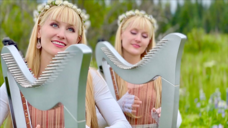 Cant Help Falling in Love Elvis cover ( Harp