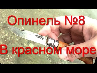 Opinel №8 Carbon + Red Sea  Соль и коррозия металла )