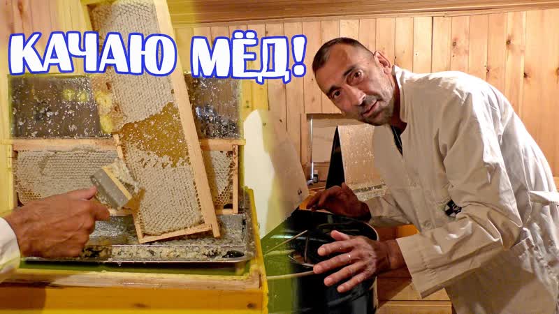 КАЧАЮ МЁД