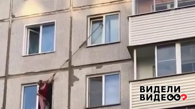 Кот в окне. Видели видео Фрагмент выпуска