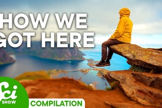 A Brief History of Life on Earth: The Full Series