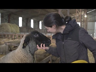 As razes da clera dos agricultores franceses