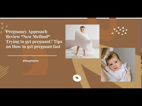 Pregnancy Approach by Lauren Lee Twin Pregnancy approach opinion I should start