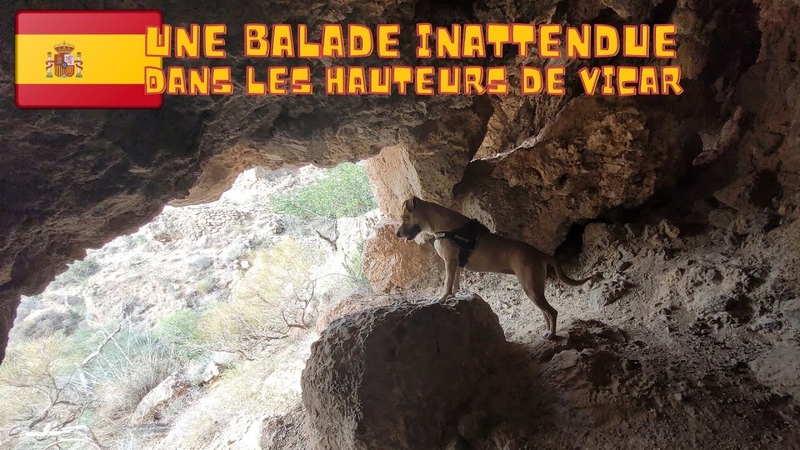 Une balade inattendue dans les hauteurs de