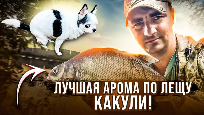 Лучшая АРОМА по лещу