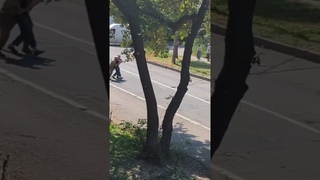 Рівне Україна 🇺🇦 ТЦК  Дари