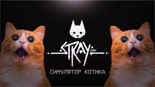 STRAY Симулятор котика, nya Стрим #1