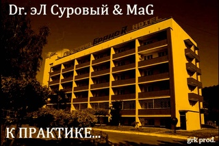 Dr. Al Su. & MaG  - К практике (2015)