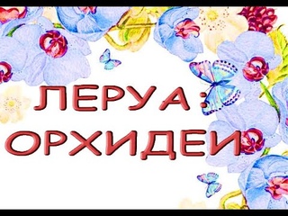 Леруа:ЗАВОЗ прекрасных ОРХИДЕЙ,,ТЦ Космопорт,Самара,ул. Дыбенко,30.