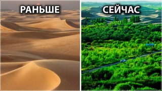 Всего За 60 Лет Китайцы Превратили Пустыню в Цветущий Оазис