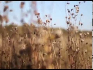 Шым Каста - Романс для Анны (авторский клип)