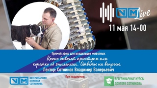 Судороги у кошек и собак. Приступы эпилептические и не только
