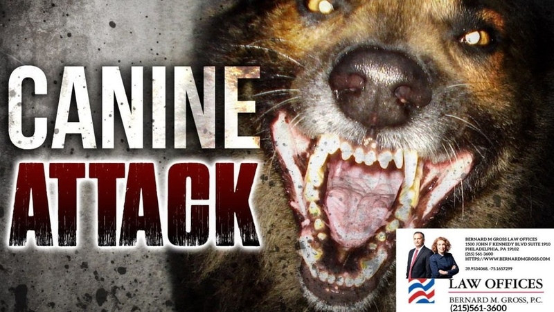 Dog Bite Attorney Philadelphia PA Bernard M