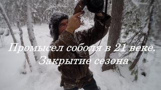 Промысел соболя 21 век. Часть 3. Закрытие сезона