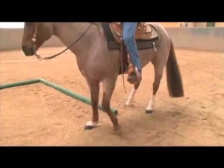 Advanced Trail - The Side Pass ’L’