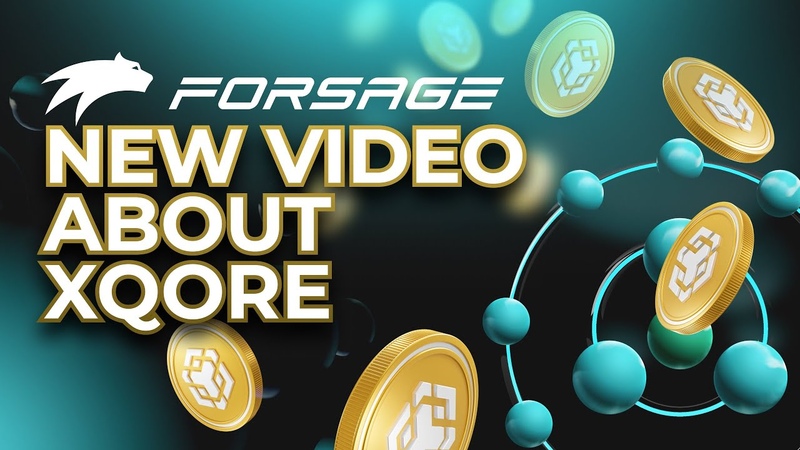 Forsage x Qore, Marketing x Qore Program of