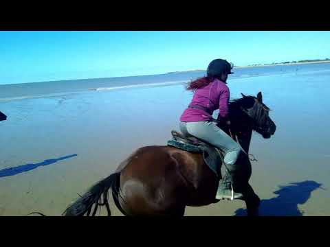 Beach Ride 2020 Hoofin