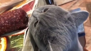 Как бы так взять, но не спалиться