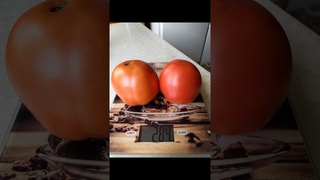 Самый лучший томат в мире 2024 г.! Высокоурожайный, вкусный и сладкий томат сорта ЦАРИЦА РЫНКА! #еда