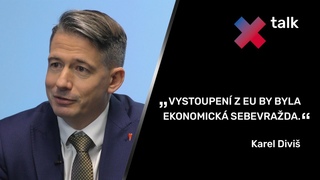 Mm relnou anci. Ptm prezidentem m bt lovk bez vazeb na politick funkce.  Karel Divi
